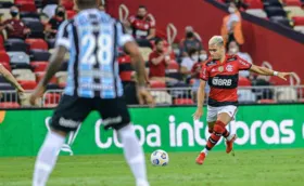 Imagem ilustrativa da imagem Flamengo é denunciado por cantos homofóbicos da torcida em jogo contra o Grêmio