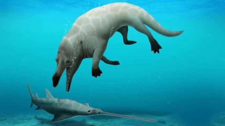 Imagem ilustrativa da imagem Fóssil de baleia de quatro pernas é encontrado no Egito