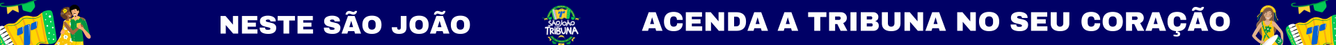 Banner São João 2026